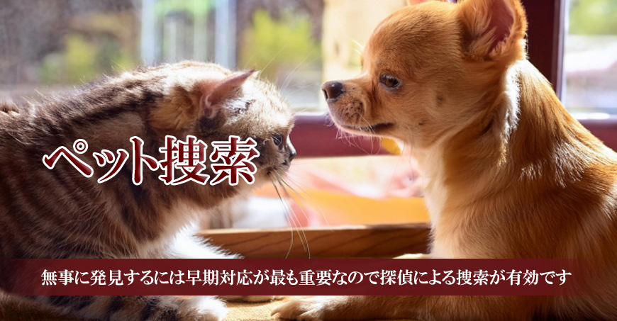 【品川区　探偵】ペット捜索｜品川区でペット捜索で探偵をお探しならスマイルエージェント品川にお任せください。