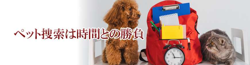 【品川区　探偵】ペット捜索｜品川区でペット捜索で探偵をお探しならスマイルエージェント品川にお任せください。